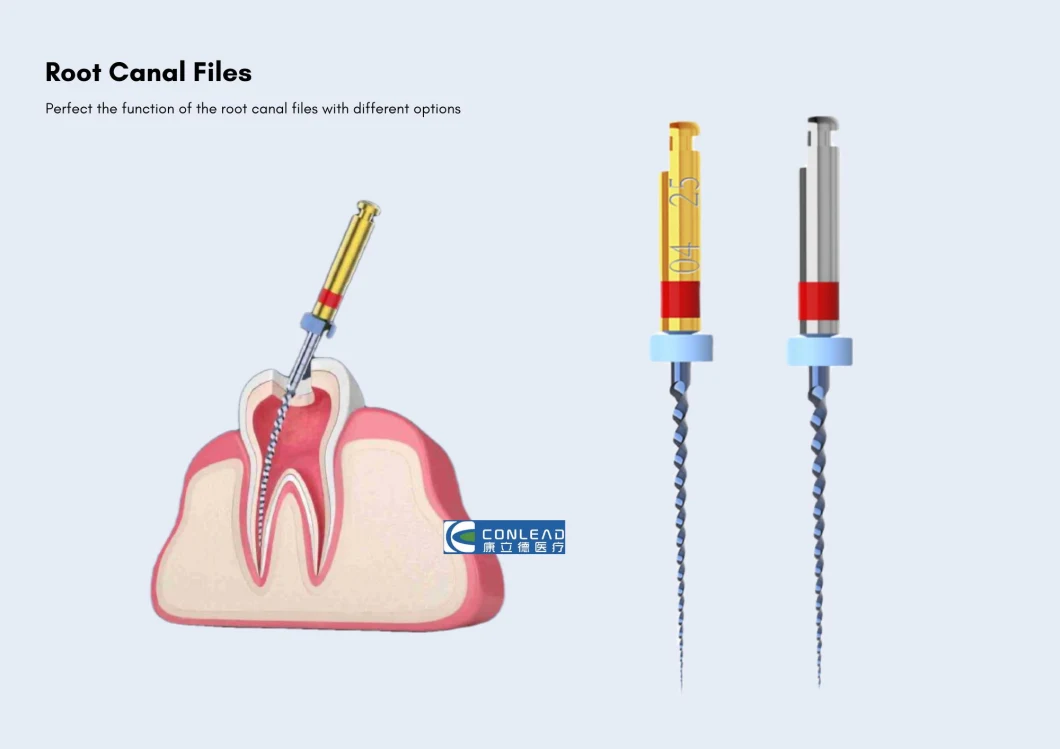 Dental Stainless Steel Dental Rotary Endodontic K Files Niti Endo Root Canal Universeral Engine Use Rotary Files