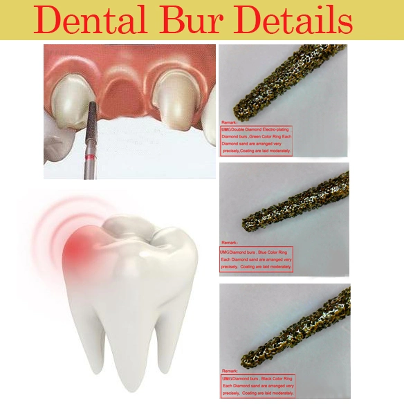 Factory Price Dental Diamond Burs Dental Instrument