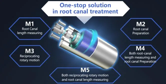 Dental Endo Motor with Apex Locating Function and Large Screen