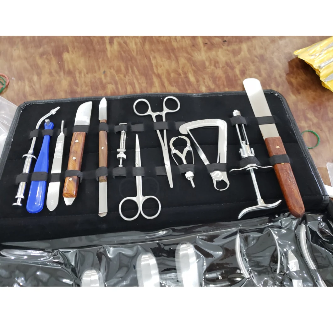 in-Di30 Medical Clinic Dental Kits Instruments Surgical Cleaning Dental Tool Instrument